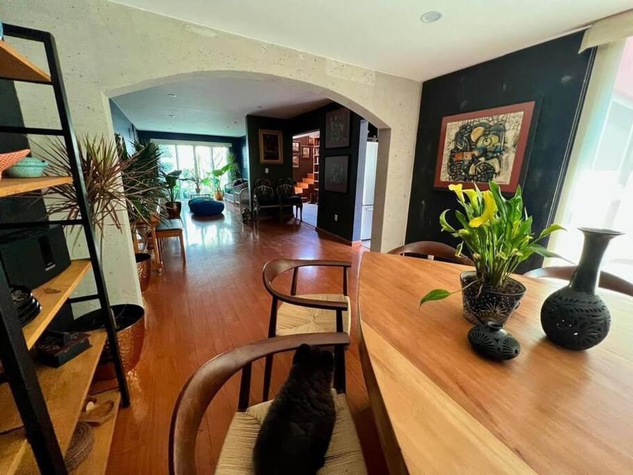 Luxurious Mid Century Modern Folk Art Home Città del Messico Esterno foto